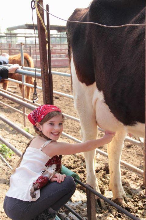 Amys Farm Milking Excellence In Education Homeschooling