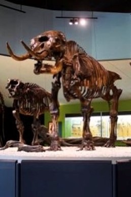 La Brea Tar Pit 2 | Excellence In Education Homeschooling